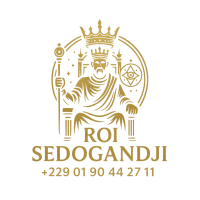 PUISSANT MEDIUM VOYANT SEDOGANDJI