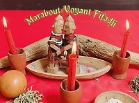 BON MARABOUT AFRICAIN